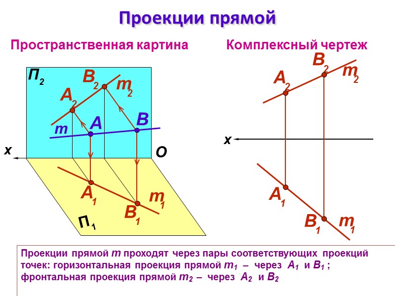 Проекции прямой m проходят через пары соответствующих проекций точек: горизонтальная проекция прямой m1 